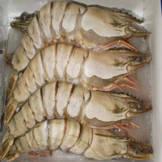 King Prawns, White Shrimps, Black Tiger Shrimps for sale