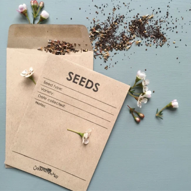 Biodegradable Custom Printed Small Mini Self Sealing Seed Packet Saving Envelope