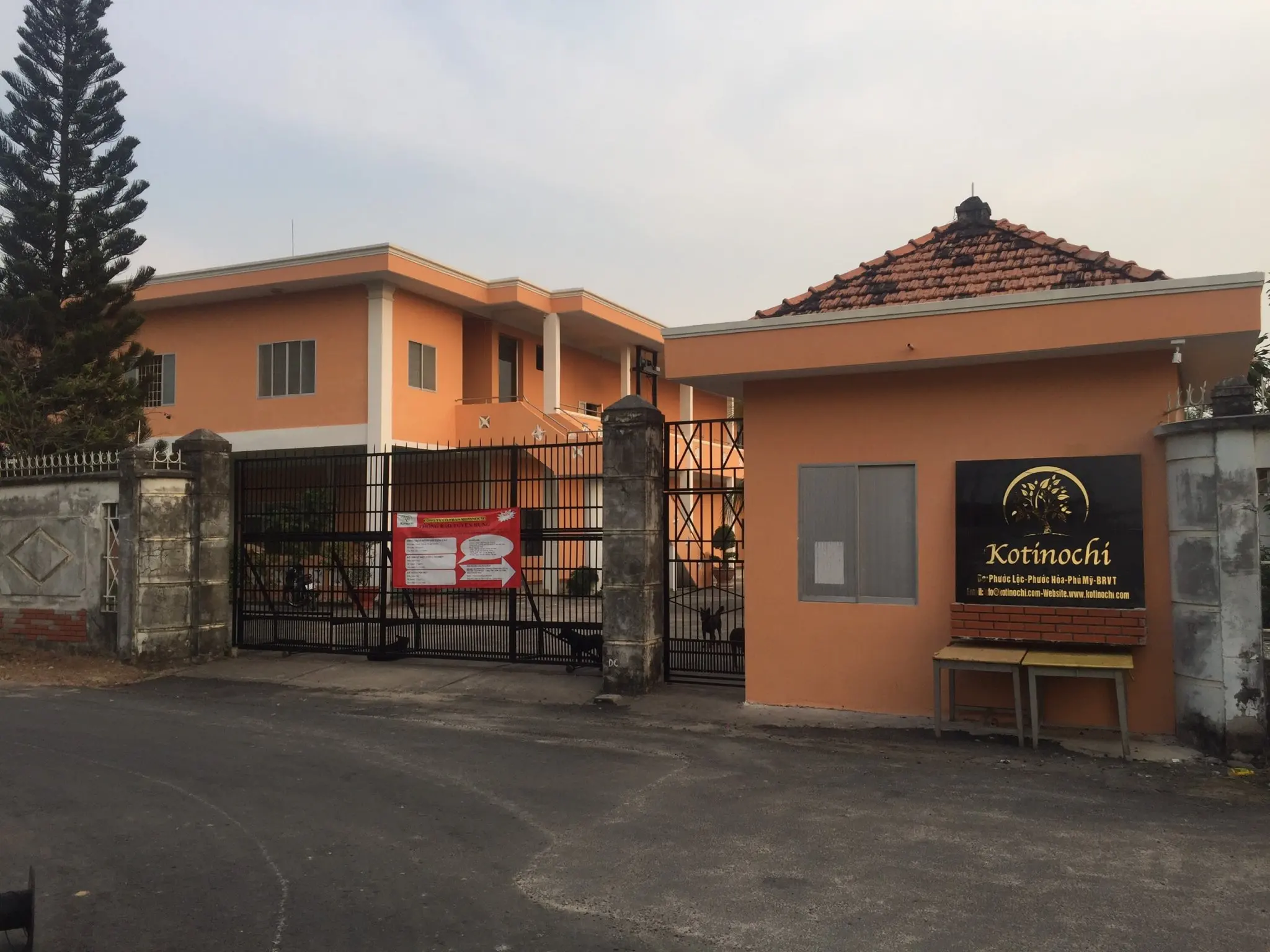 Nitrile Examination Rubber g.l.o.v.e.s in Vietnam Kotinochi Brand/ Latex Powder free and Powdered