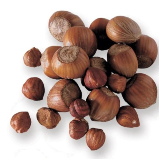 
ORGANIC Hazelnuts paste for sale Hazelnut Paste Oregon Shelf Life 24 Months No. 1 Grade Kosher And Halal Certified 