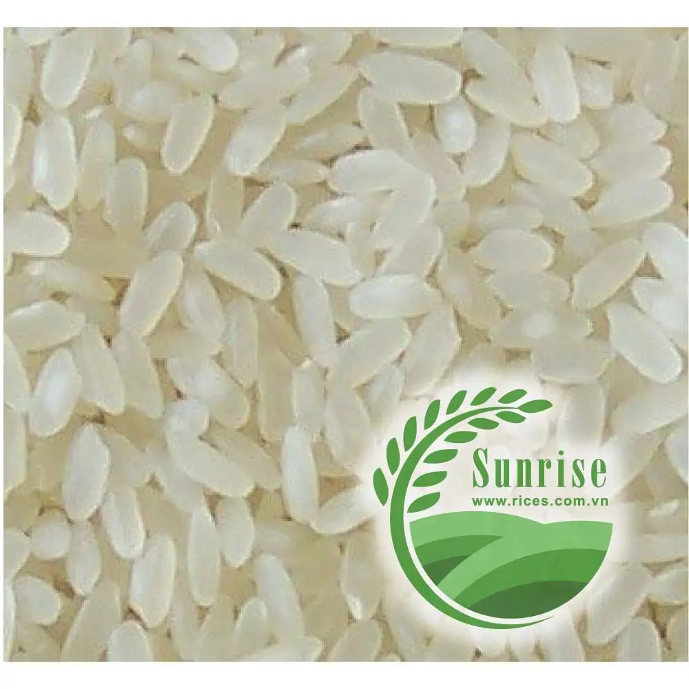 White Short Rice-grain Rice Best Quality Egyptian Rice Wholesale 10 Admixture Dried Hard AD COMMON Cultivation