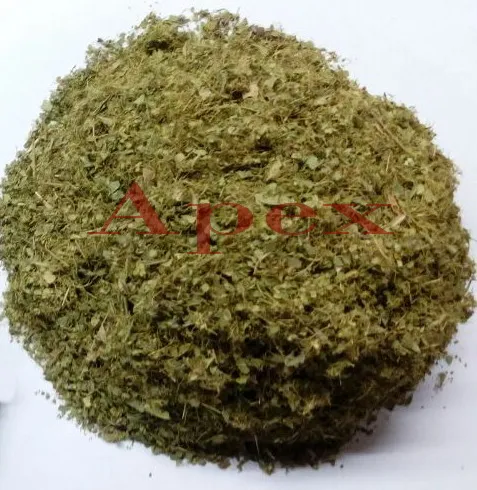 cassia alata t-cut- APEX1.jpg