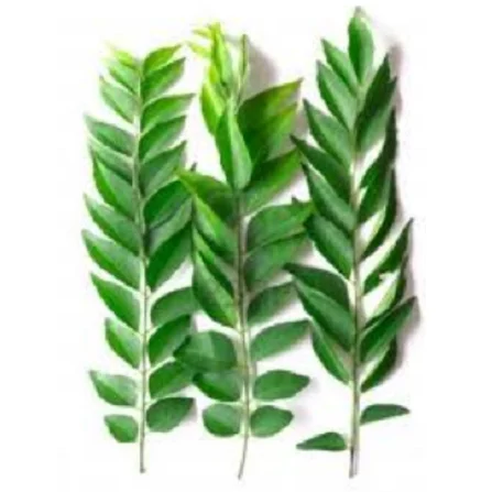 Высококачественные листья карри