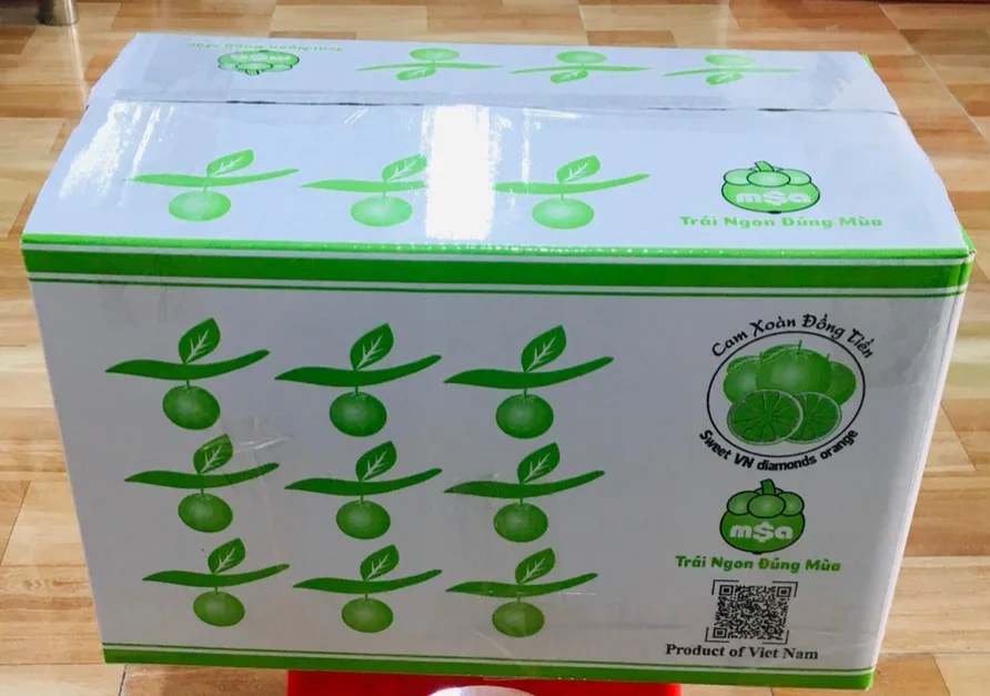 100% Pure Natural Fresh Citrus Orange Green Ripe Organic Big Round ball King Mandarins Fruit supplied by Vietnam manufacturer