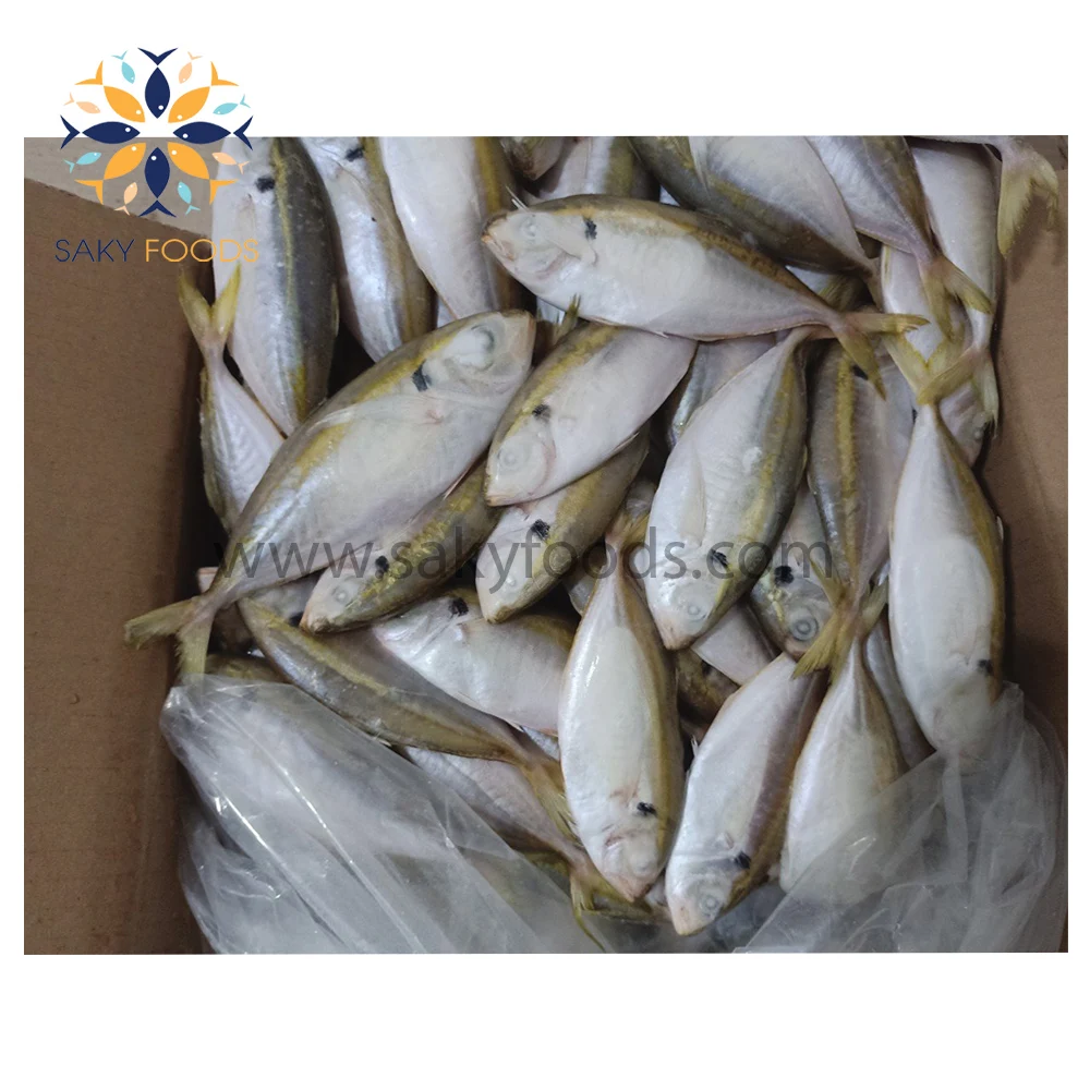 Wholesale Frozen Yellow Stripe trevally fish with sale good price