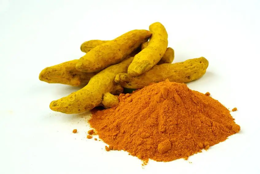 
TURMERIC POWDER CURCUMIN 2.5 % ORIGIN INDIA FROM NIK-MAY EXPORTS LLP 