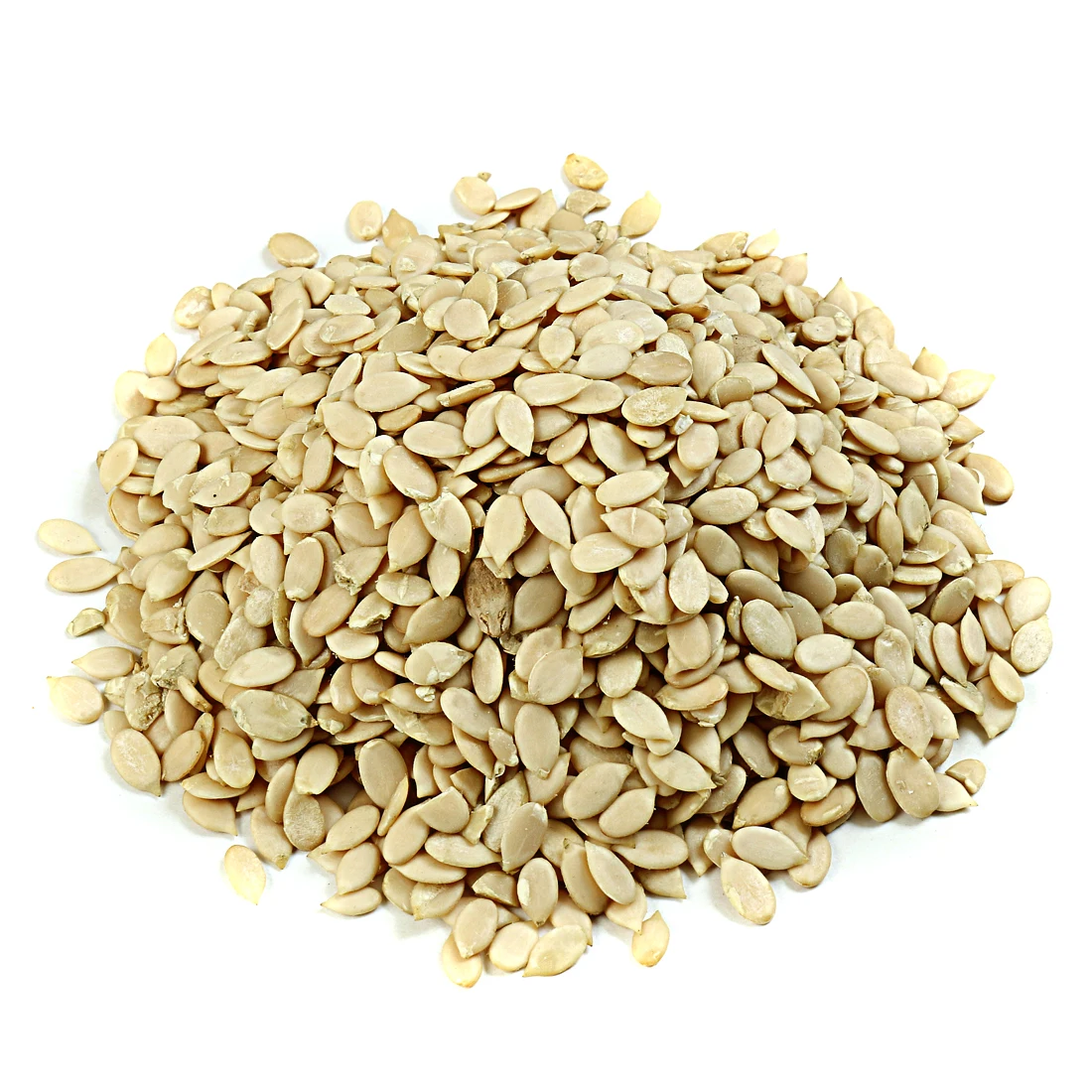 Watermelon Seeds and Kernel Maghaz kernel