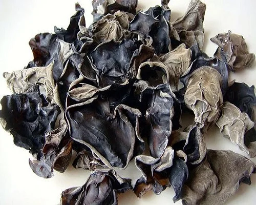 
DRIED WOOD EAR FUNGUS/ WOOD EAR MUSHROOM BEST PRICE HIGH QUALITY FROM VIETNAM (WhatsApp/Wechat: + 84 983 028 718) 