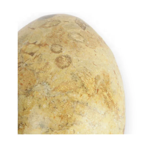 
Fossil Marble Eggs In Low Price For Decoration 