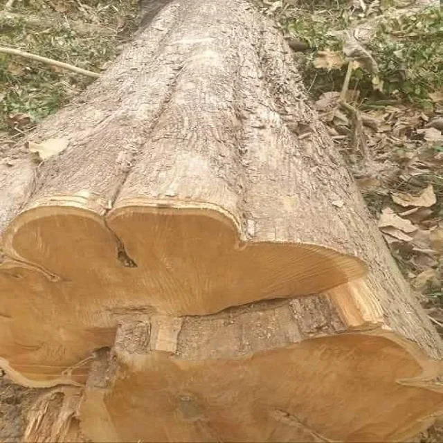 Moabi Or African Pearwood Square and Round Logs