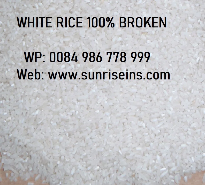 Рис Бланк 100% сцит (WP: 0084986778999 г-н Дэвид-Председатель)