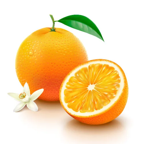 newest harvest fresh Egyptian orange for sale