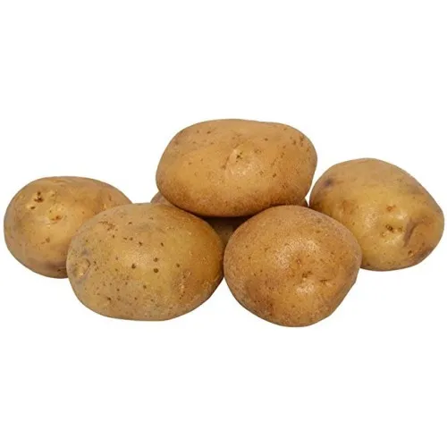 2022 new fresh South Africa potato