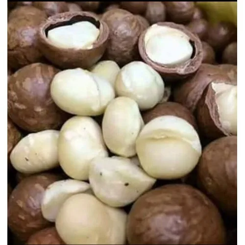 
Premium dried Macadamia Nuts from Daklands brandin Vietnam 