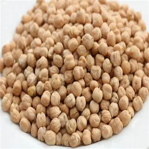 Натуральный нут оптовая продажа органический высококачественный нут/Кабули Цыпленок Garbanzo