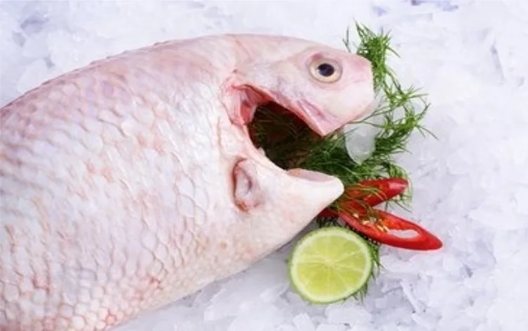 Best Wholesale Frozen Red Tilapia Fish from Vietnam (Thai Lien Company, Ms Phuong: +84789196389)