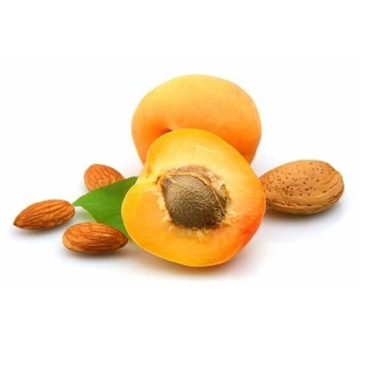 High Quality Apricot Kernels and Nuts for Snack for Sale