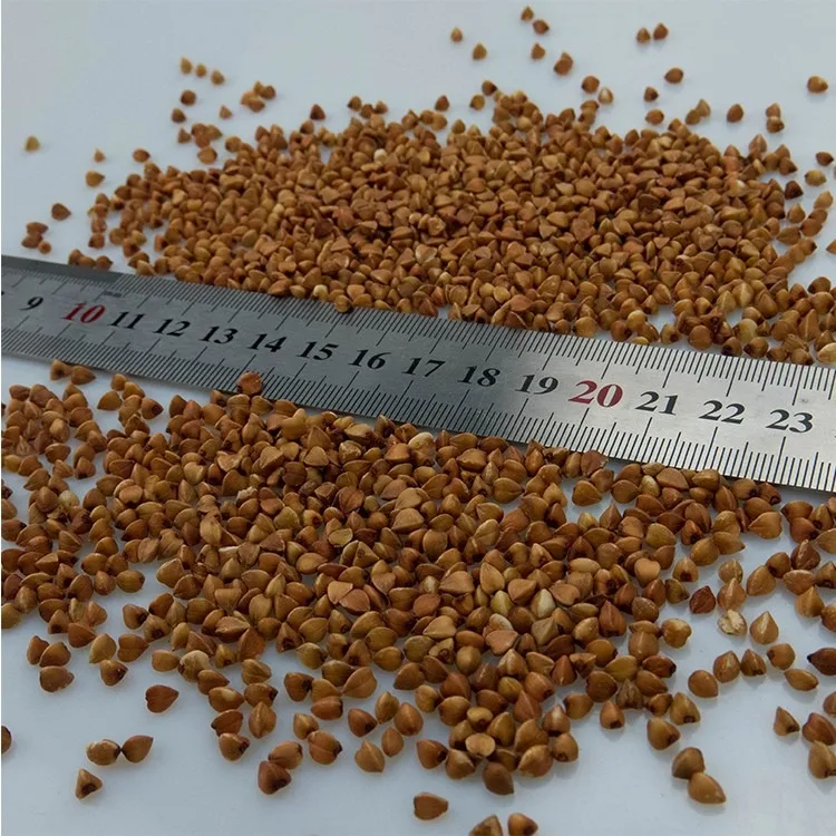 Оптовая продажа, гречневая/Органическая гречневая зерна/гречневые семена