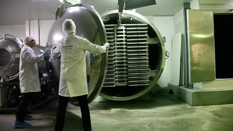 10-HDA 2%-Королевский желе свежий 500 г-Премиум-Австралийский-100% натуральный-лигурийская пчела