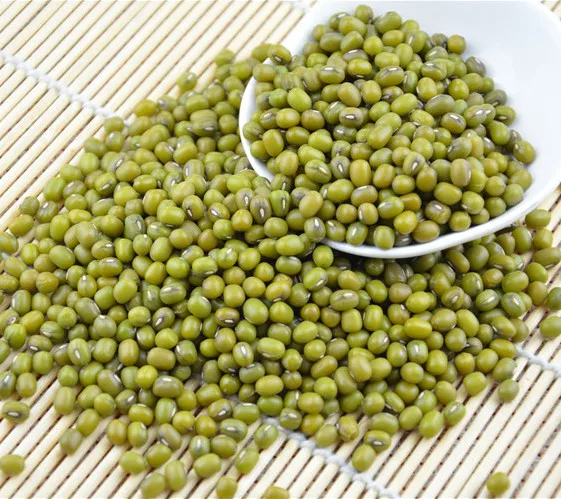  (Хорошая цена) высококачественные бобы мунг и сушеные зеленые целые для экспорта из Вьетнама