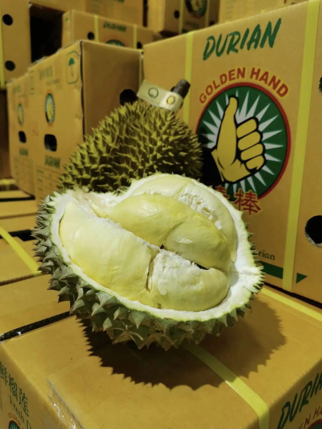 
Organic Fresh Fruit Monthong Thai Durian With High Quality And Best Selling Price 