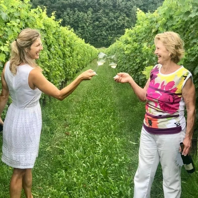 Vigna Petrussa Selection native grape EXPRESSIONS OF SCHIOPPETTINO 4 bottles Italian Red Wine for restaurant wine bar