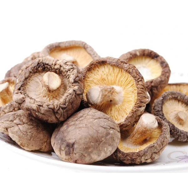 Dried White Flower Mushroom