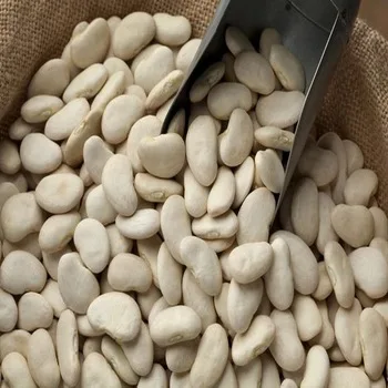 Top Quality White Butter Beans At Low Cost Bulk Price (1600249083396)
