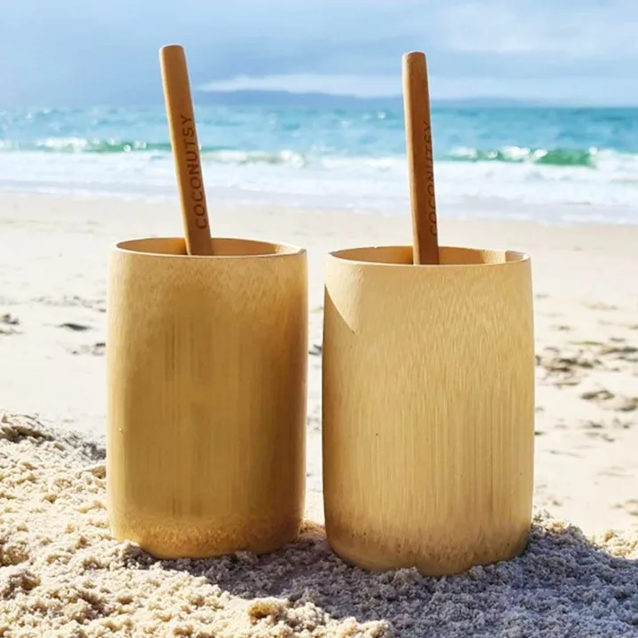 Bamboo Cups 100% Natural Eco Friendly Bamboo Cup Straws Coconut Bowl Dinnerware Set Customized Logo Bamboo Fiber Coffee Cup