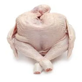 Premium Quality Great Taste Wholesale Frozen Whole Turkey