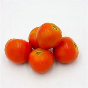 Красный свежий томат высокого качества для экспортера из Вьетнама