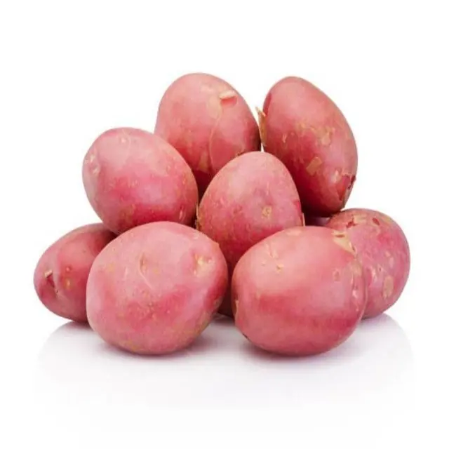 Wholesale Flaky Red Colour Round Shape Lady Rosetta Potato with Shallow Eyes for Chips and Fries Exporter from India