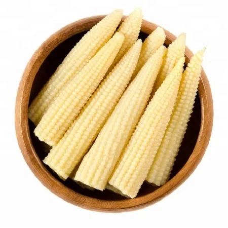 Yellow Corn/Maize for Animal Feed / YELLOW CORN FOR POULTRY FEED
