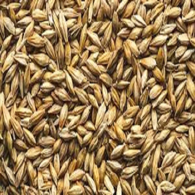 
Natural Raw Barley Malt Human Consumption Animal Feed 