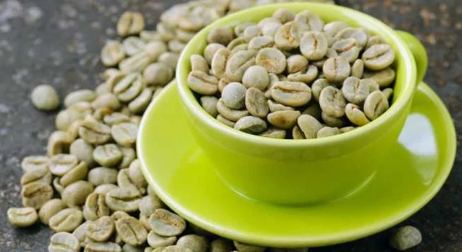 Weight loss green coffee been/ green coffee beans wholesale - Whatsapp: +84-845-639-639