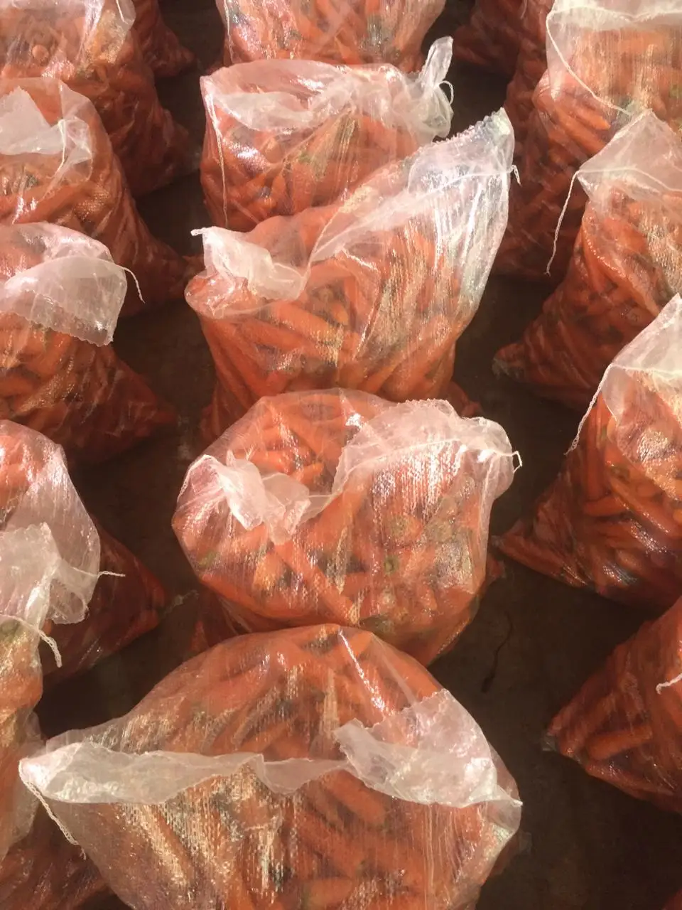 100% Natural Hot Selling Bulk Packing Fresh egyptian Carrot Orange Color BRC