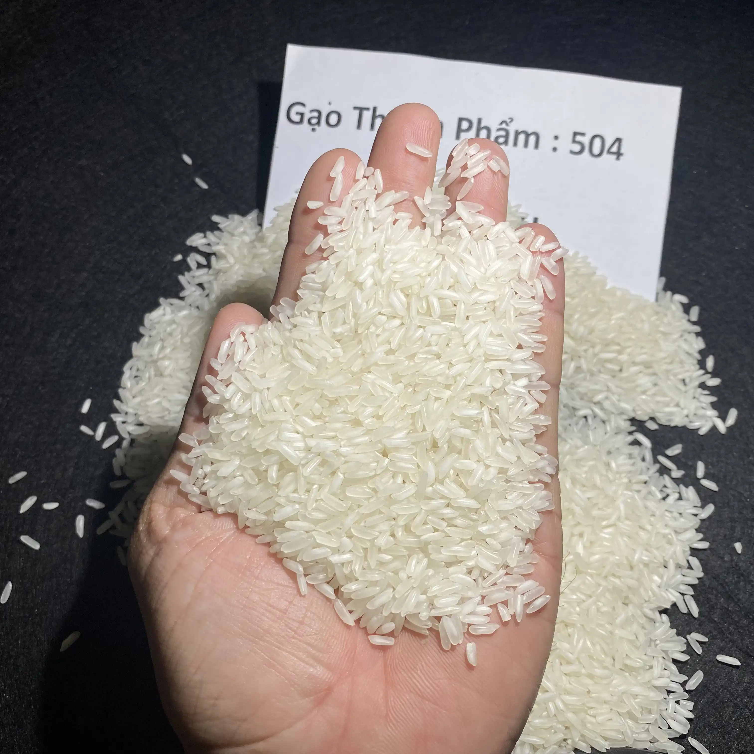 Long Grain Rice 5% Broken Made In Viet Nam rise