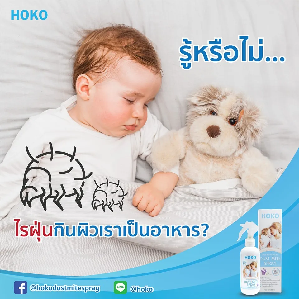 
Wholesale Natural Anti- Dust Mite Spray 100%, Herbal Dust mite Killer Eco-friendly Spray OEM Thailand 