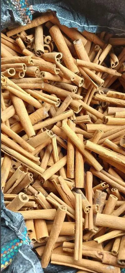 Perfect quality Cigarette Cinnamon Vietnam  new season