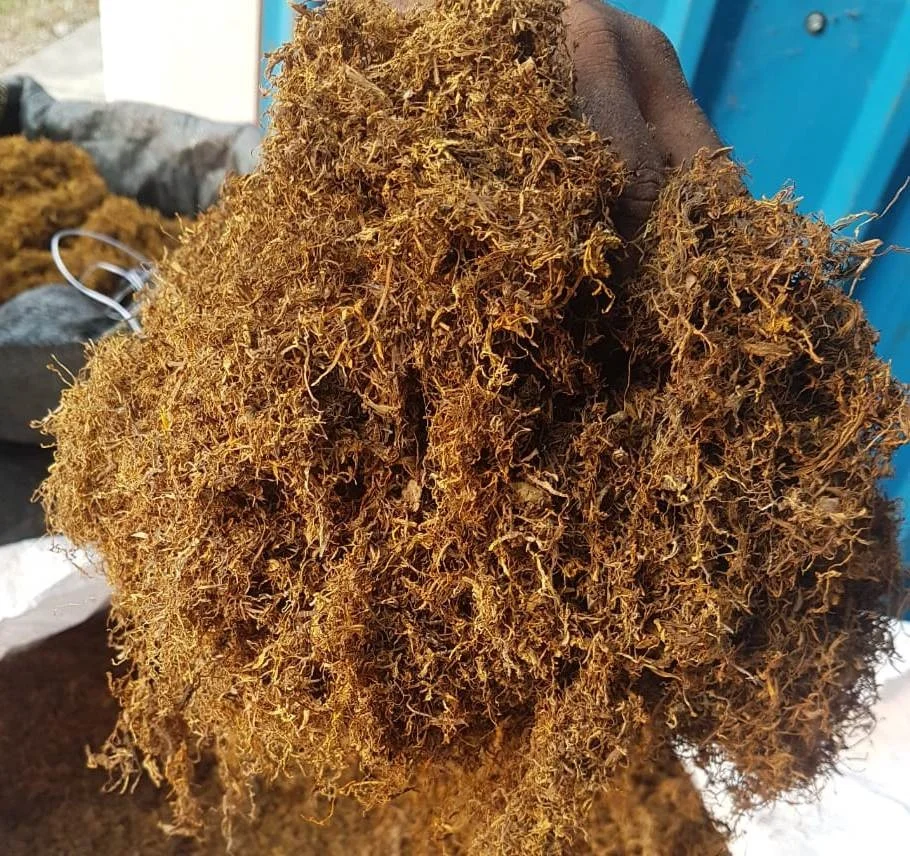 Индийские Золотые листья Таро золотые скрученные травы золотого цвета для рулона ваши собственные альтернативные травяные смеси оптом