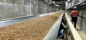 
Top grade Vietnam Rice Husk Pellet - Whatsap 81919880806 