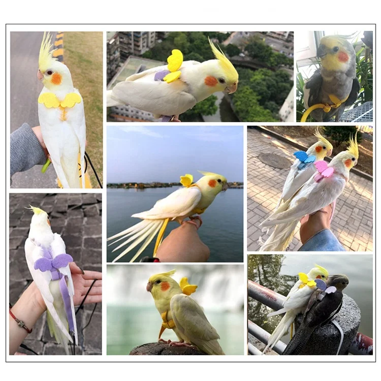 Mini Bird Parrot Pet Birds Harness Harness For Sale Near Me