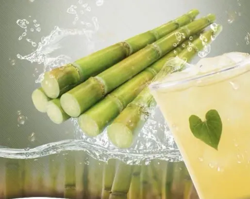 ATL GLOBAL-Frozen Sugarcane/ 100% Fresh/ High Quality/Good Price From VietNam