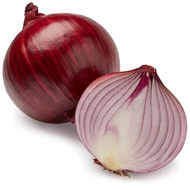 Wholesale 100% Natural Product New Crop Fresh Food Grade Quality Red Onion Importers Fresh Vegetables