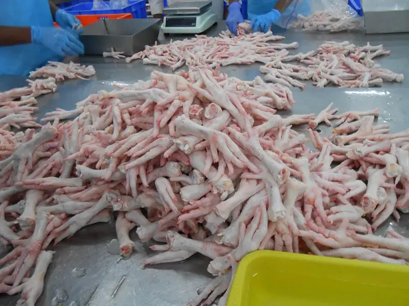 Замороженные куриные ножки категории А оптовая цена