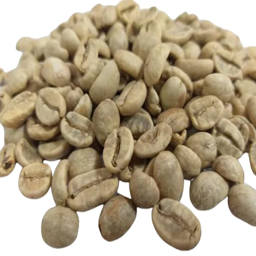  Высококачественная Органическая нежареная Арабика класса 1 из Вьетнама с хорошим вкусом в наличии готов к экспорту