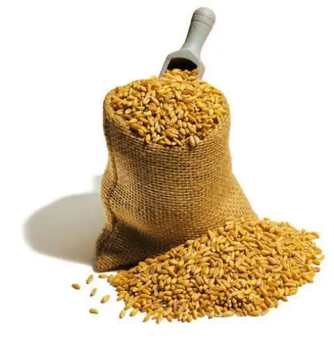 Best Barley For Animal Feed and Human