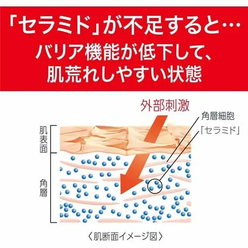 Manufacturers are the best in wholesale Kao Curel Hand Cream 50g A large quantity of OEM functional shelf