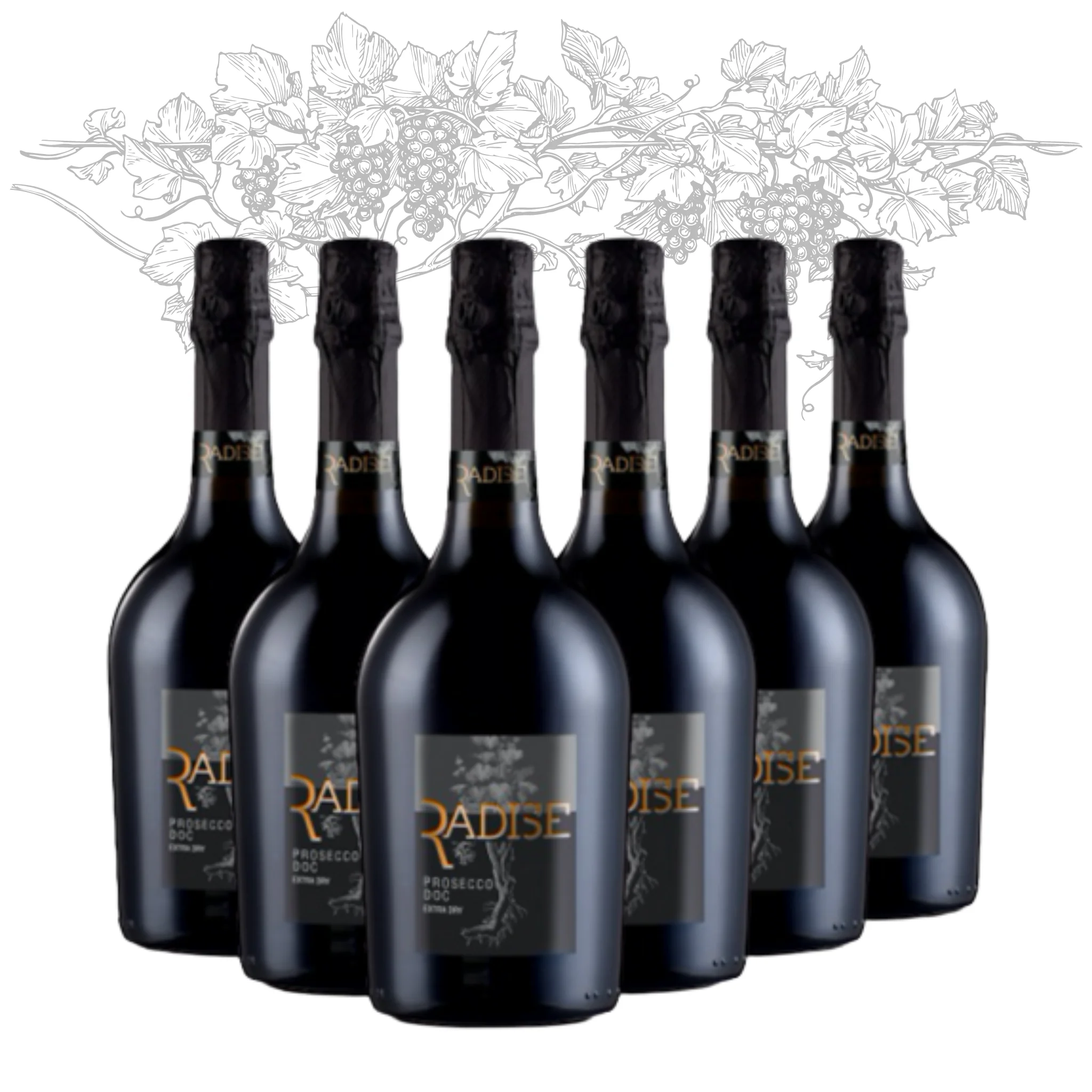 Premium Italian Prosecco DOC Extra Dry Sparkling WIne - Radise - bottles 750 ml alcohol 11% for export