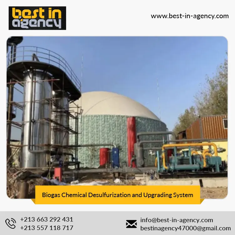 Carbon Removal 97% CH4 Content Biogas Chemical Desulfurization and Upgrading System Natural Gas
